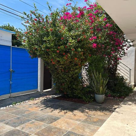 Casa Nuria Apartamento Playa del Carmen Exterior foto